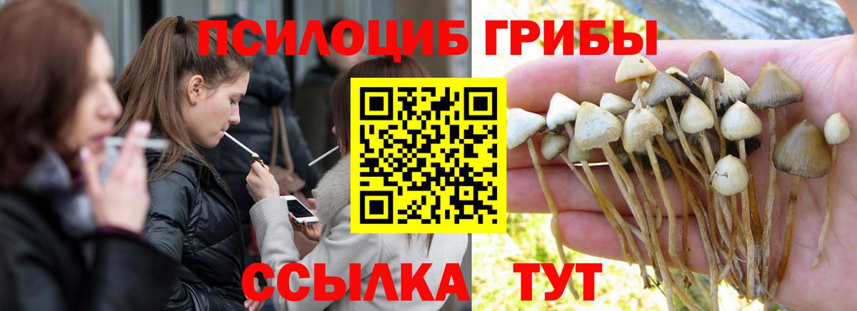 Галлюциногенные грибы Magic Shrooms Евпатория